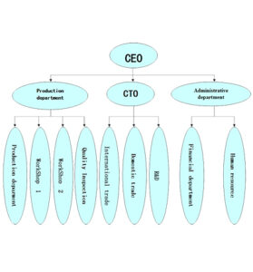 organization