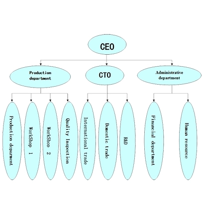 organization